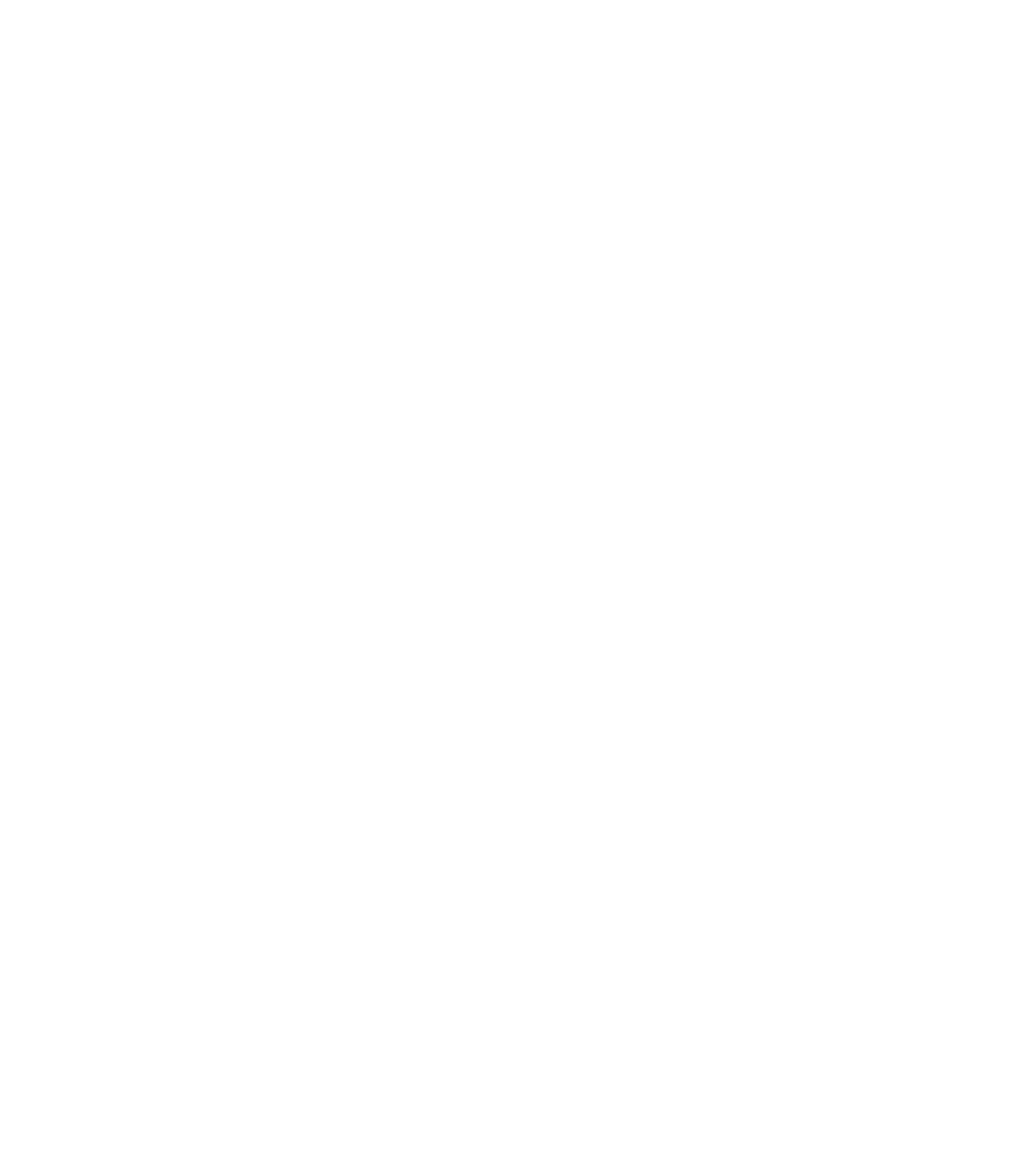 Gadget craze
